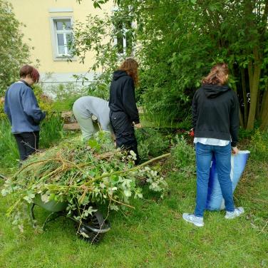 projekt