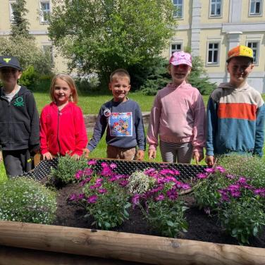 projekt